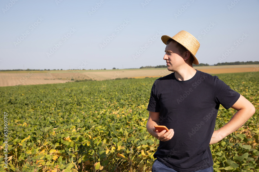 A farmer in a straw hat and dark blue clothes with smartphone looks on agricultural field with soybeans. Front view