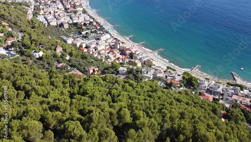 colla micheri