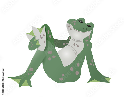Sitting smiling frog