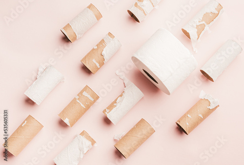 Fotografi One full roll of toilet paper surrounded by many empty rolls