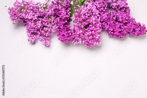 Floral still life banner flat lay. Lilac flowers on white textured background. Place for text.