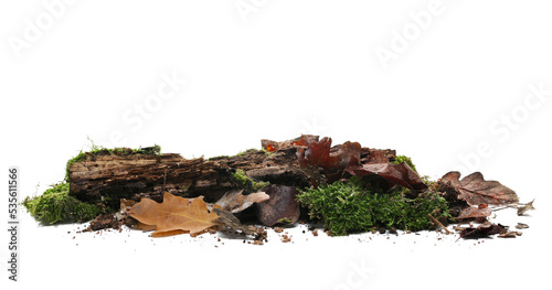 Green moss on rotten tree stump and autumn yellow leaves isolated on view