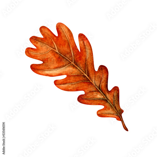 Watercolor hand drawn autumn illustration: oak leaf for harvest party, halloween, birthday, grutting and postcard, invitation. Element isolated on white background. photo