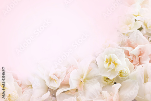 Blossoming white and light yellow daffodils and spring flowers festive background, bright springtime bouquet floral card, selective focus, shallow DOF