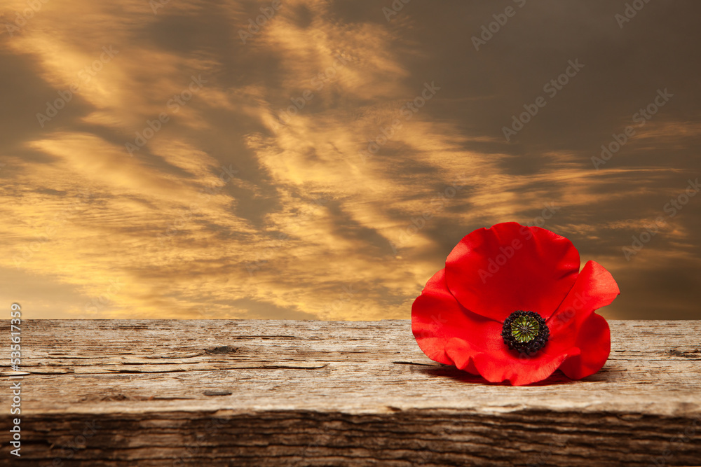 Poppy pin for Remembrance Day. Poppy flower on old beautiful high grain, detailed wood on background of sunset sky. Poppy pin for Remembrance Day. Poppy flower on old beautiful high grain, detailed wood on background of sunset sky.