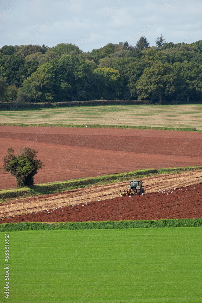 Stalks being turned into the earth on a Devon farm after harvest. It is illegal for UK farmers to follow the traditional course of setting fire to stubble