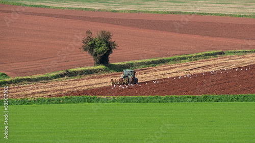 Stubble being turned into the earth on a Devon farm after harvest. It is illegal for UK farmers to follow the traditional course of setting fire to stubble