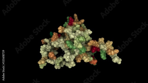 Structure of the pathogenic mutant of human prion protein. photo