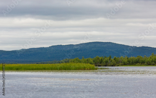 Summer Landscapes overlooking the river. Kola Peninsula, Arctic Circle, Russia