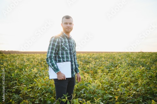 Agronomist inspecting soya bean crops growing in the farm field. Agriculture production concept. young agronomist examines soybean crop on field in summer. Farmer on soybean field © Serhii