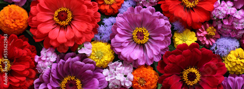 Colorful floral banner. Bouquet close-up  top view. Background  texture of garden flowers.