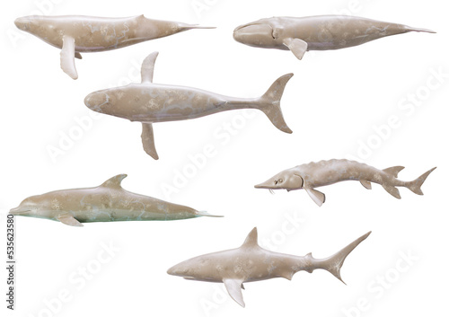 Marble Fish Set