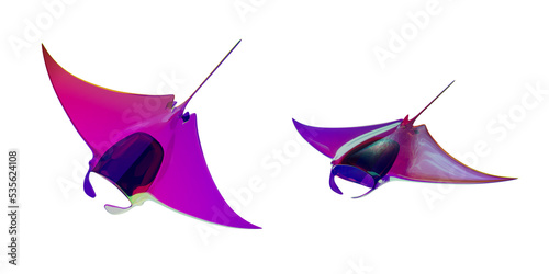 rayfish
