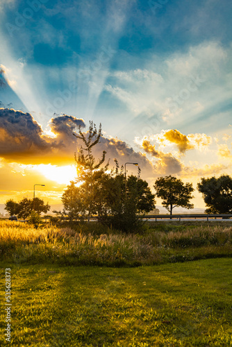 Beautiful shining sun behind trees at sunset over street photo