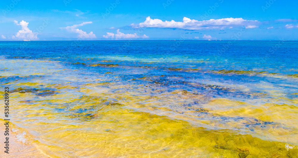 Tropical beach clear turquoise water rocks Playa del Carmen Mexico. Tropical beach clear turquoise water rocks Playa del Carmen Mexico.