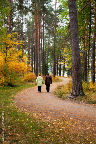 Unrecognized people walking in the forest in Autumn season. Trees with dry yellow leaves © Michalis Palis