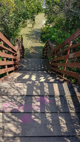 wooden bridge in the forest