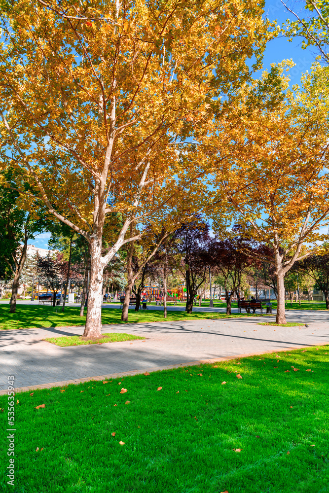 bright sunny day in autumn city park, green lawn, and yellow leaves, street