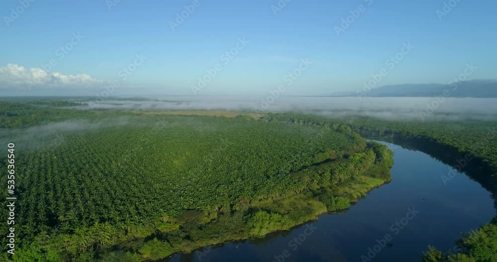 Sweeping aerial view of Costa Rica jungle in the summer. Sweeping aerial view of Costa Rica jungle in the summer.