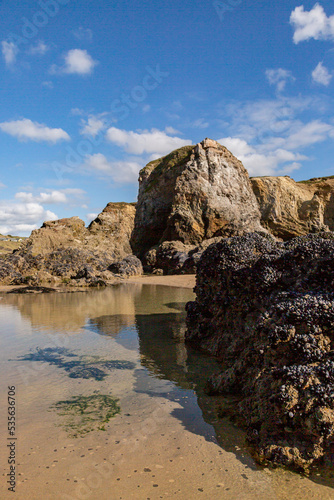 Mussels on rock formations at Perranporth beach in Cornwall, on a sunny day photo