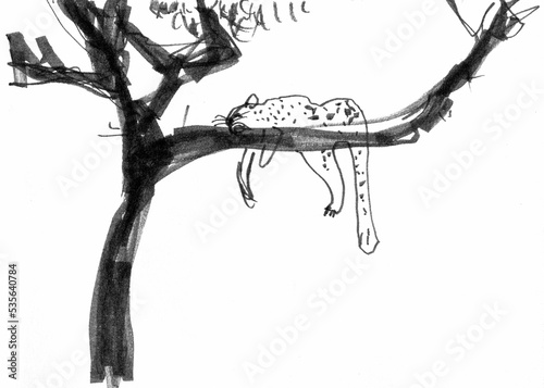 Canvas Print The leopard sleeps on a tree branch