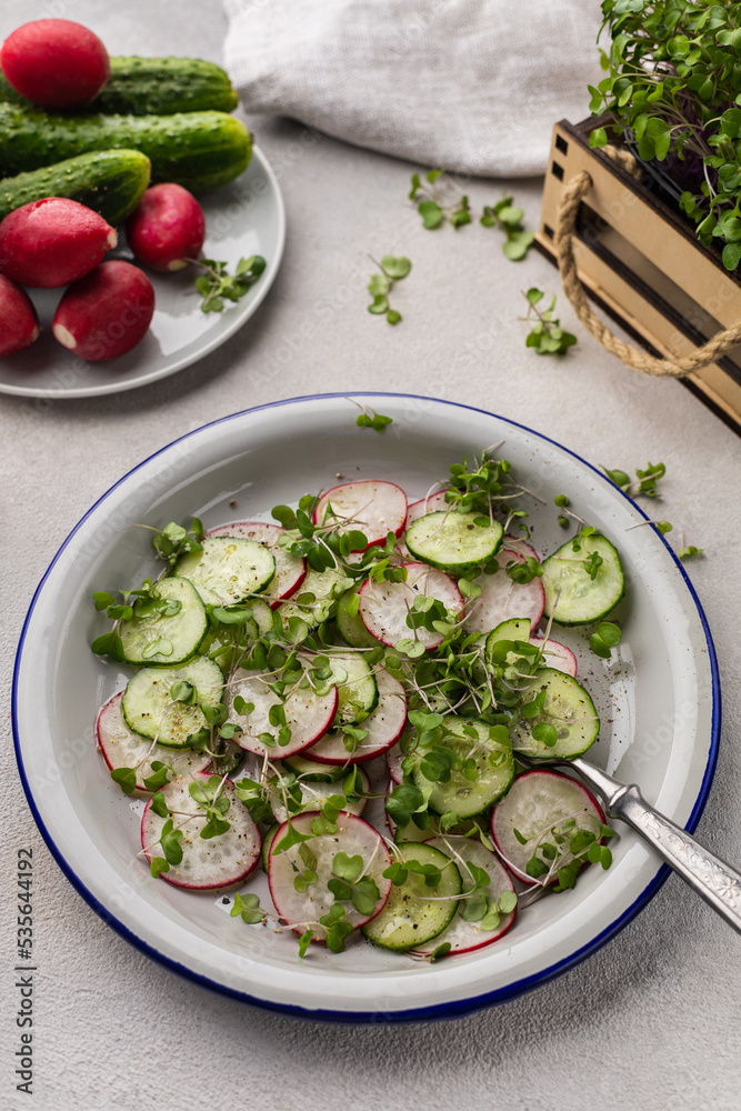 Fresh vegetarian radish and cucumber salad with microgreens
