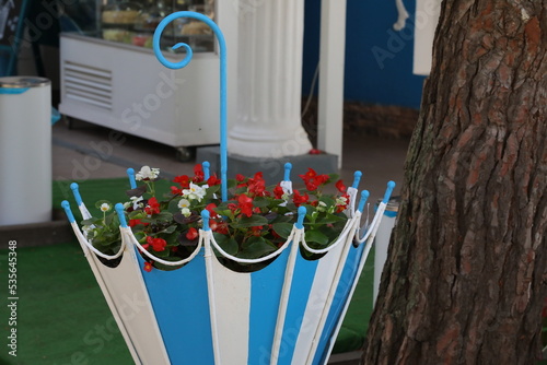 Slika na platnu An invented design for growing blooming flowers in the form of an umbrella stand
