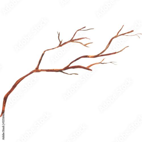 Watercolor autumn branch without leaves