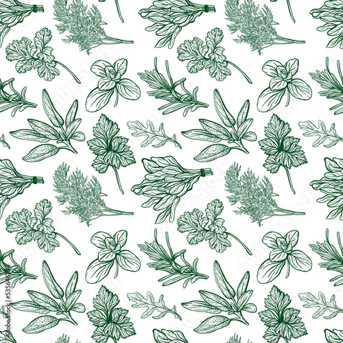 Seasonings and herbs pattern. Aromatic spices, healthy herbs. Basil, oregano, parsley, dill.Hand-drawn illustration.
