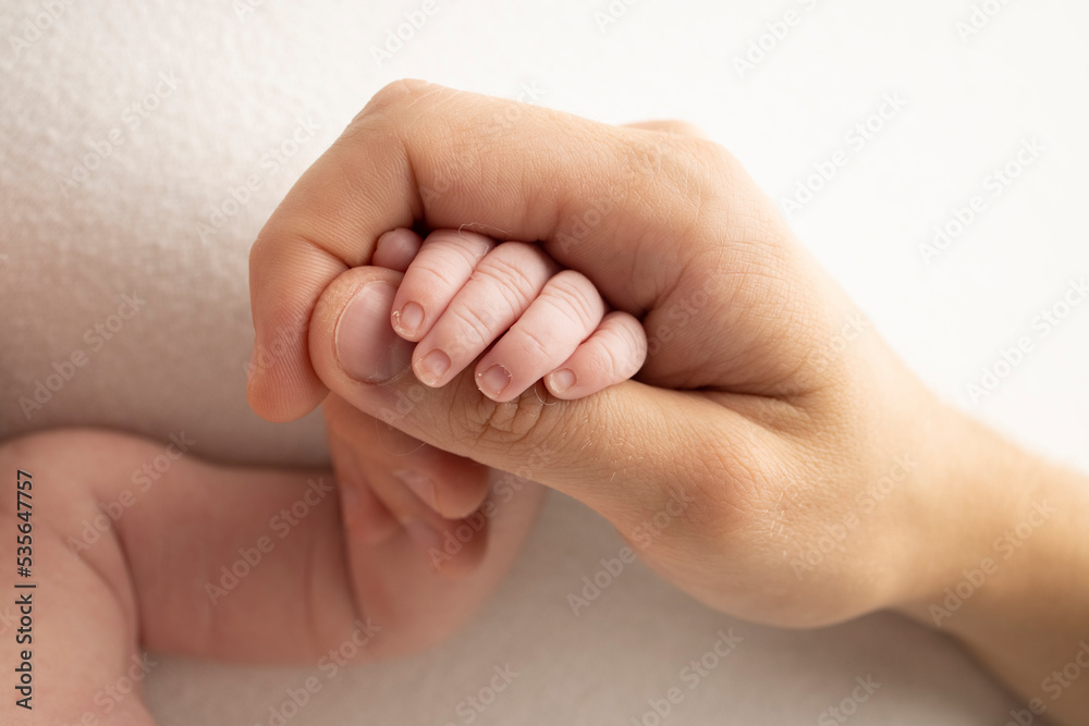 The hand of a sleeping newborn in the hand of parents, mother and father close-up. Tiny fingers of a newborn. The hand of a sleeping newborn in the hand of parents, mother and father close-up. Tiny fingers of a newborn.