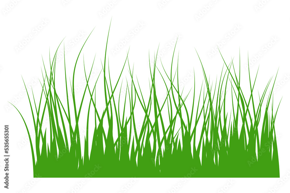 Fototapeta premium illustration of green grass
