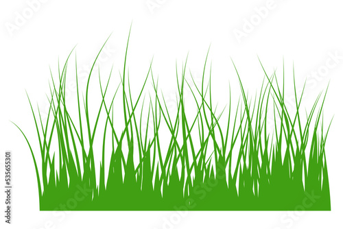illustration of green grass