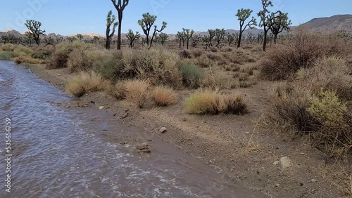 Flash floods are a natural part of Summer Monsoon season in the Southern Mojave Desert ecosystem, such as here in the Little San Bernardino Mountains.