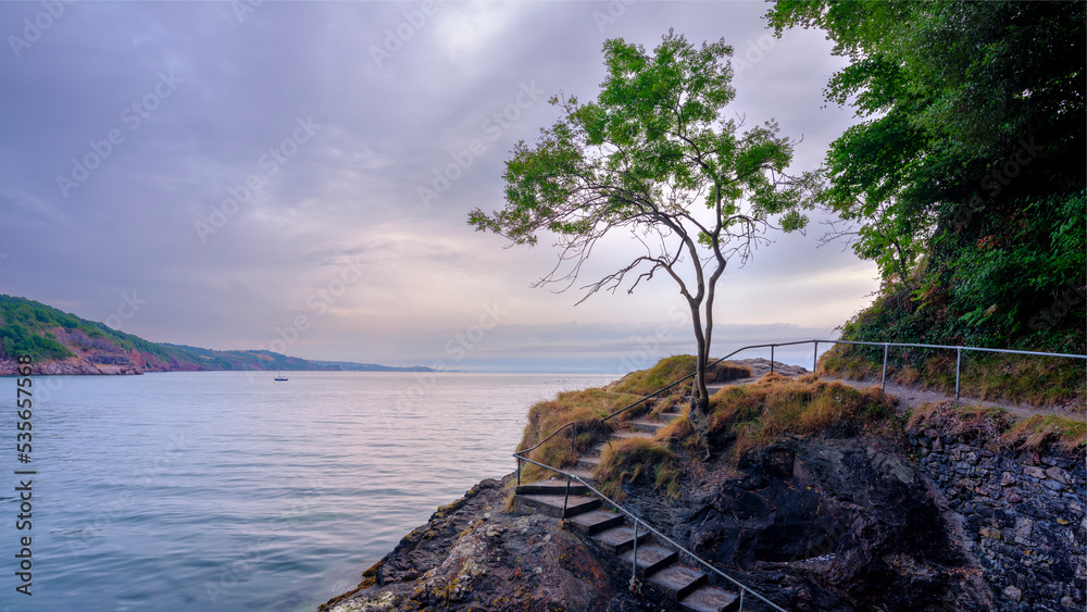 Fototapeta premium Sunrise at the lone tree on Babbacombe Beach, near Torquay, Devon