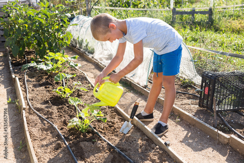 Portrait of smiling child working on backyard garden at summer day