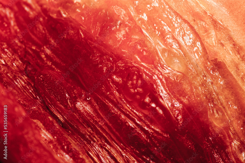 sweet pepper texture close up, red bell pepper flesh, macro, vegetables
sweet pepper texture close up, red bell pepper flesh, macro, vegetables