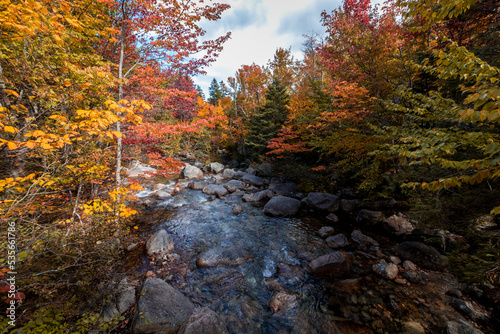 Roaring Brook in Baxter State Park  Maine  with stunning early Fall Foliage 