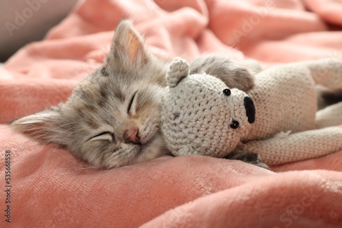 Cute kitten sleeping with toy on soft pink blanket