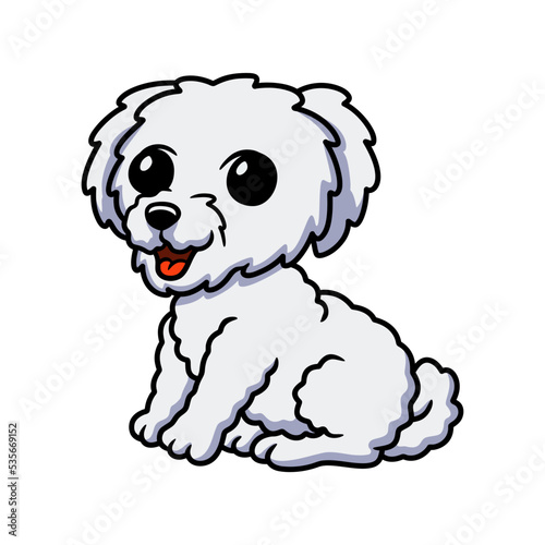 Cute bichon frise cartoon sitting photo