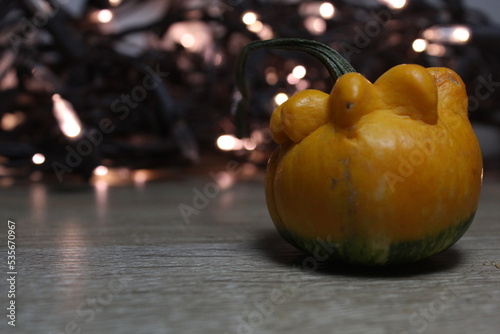 Halloween Noche de Brujas calabazas 