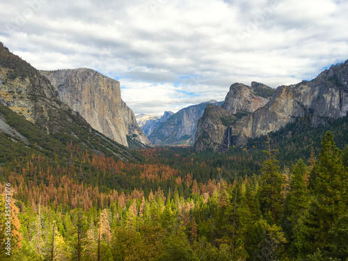 Yosemite scenery © Kylie