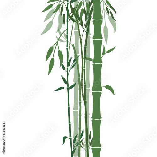 Fototapeta Naklejka Na Ścianę i Meble -  bamboo illustration