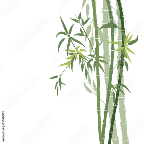 bamboo isolated on white © Heny
