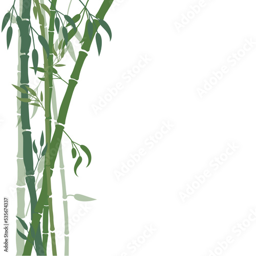 bamboo leaves isolated on white © Heny
