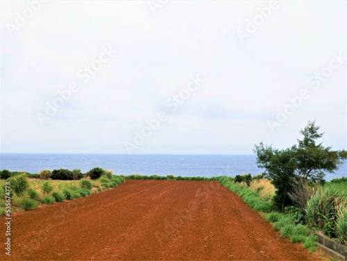 farm and ocean