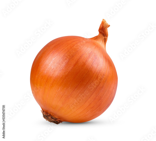 Leinwand Poster Onion isolated on transparent png