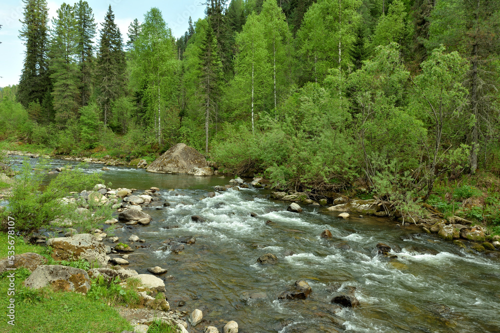 Panoramic shot of a small mountain river rushing through a morning summer forest. Panoramic shot of a small mountain river rushing through a morning summer forest.