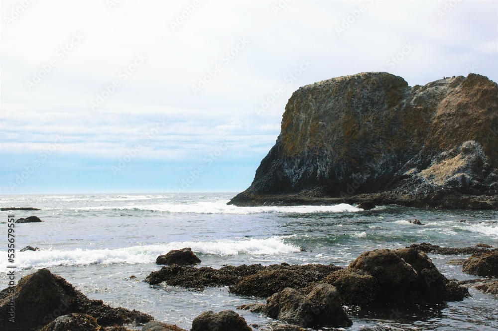 Oregon Coast Rocks