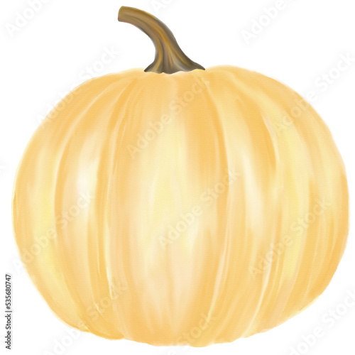 hand drawing orange pumpkin watercolor