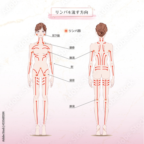 リンパを流す方向